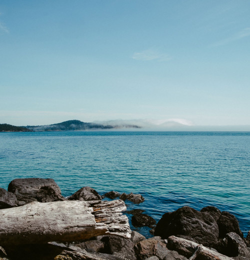 Pilot Kameleon100 bij Accrete