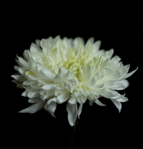 Van hoop naar nachtmerrie