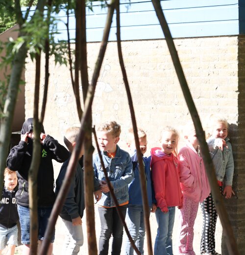 Vacature: Directeur Kindcentrum Immanuël in Steenwijkerwold (0,8 fte)