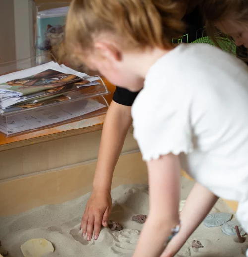 Accrete