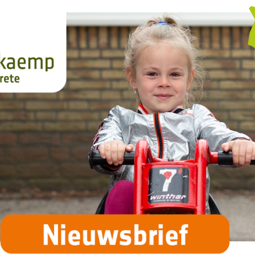 Nieuwsbrief De Buuzekaemp
