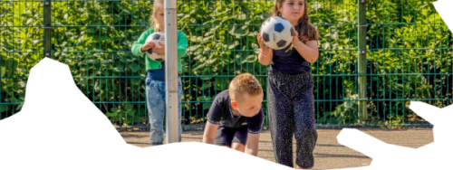 Basisschool steenwijk basisonderwijs