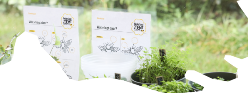 Accrete kinderopvang in Steenwijk